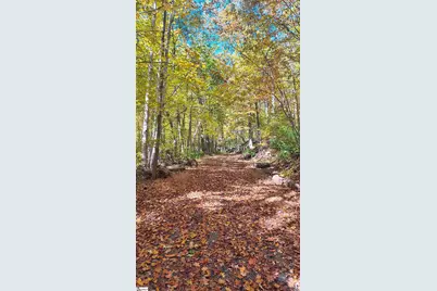 146 Glassy Falls Trail, Travelers Rest, SC 29690 - Photo 36