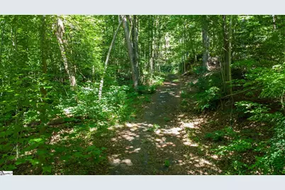 146 Glassy Falls Trail, Travelers Rest, SC 29690 - Photo 10