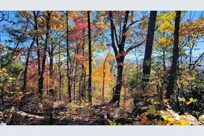 146 Glassy Falls Trail, Travelers Rest, SC 29690 - Photo 38