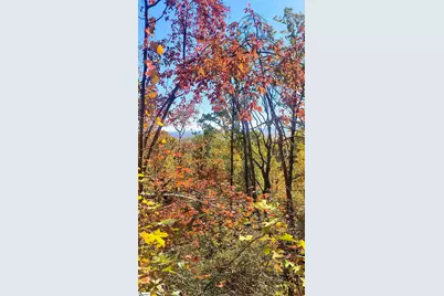 146 Glassy Falls Trail, Travelers Rest, SC 29690 - Photo 42