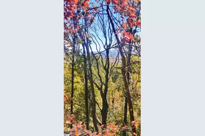 146 Glassy Falls Trail, Travelers Rest, SC 29690 - Photo 46