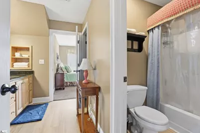 3449 414 Highway, Landrum, SC 29356 - Photo 36