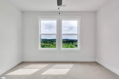 446 N Glassy Mountain Road, Landrum, SC 29356 - Photo 28