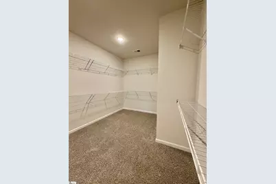 111 Terpack Court, Gray Court, SC 29645 - Photo 28