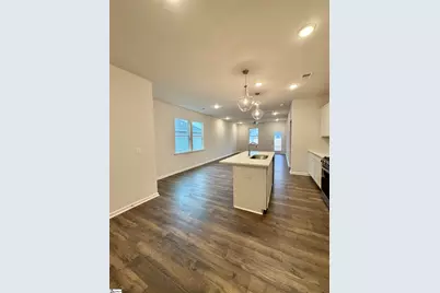 111 Terpack Court, Gray Court, SC 29645 - Photo 6