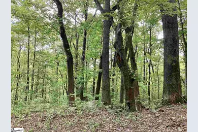 1334 Panther Park Trail, Travelers Rest, SC 29690 - Photo 4