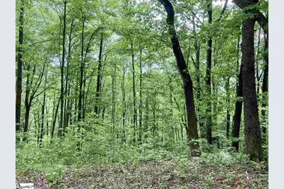 1334 Panther Park Trail, Travelers Rest, SC 29690 - Photo 1