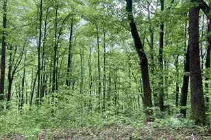 1334 Panther Park Trail, Travelers Rest, SC 29690 - Photo 1