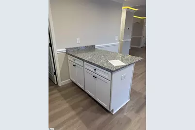 308 Tegan Court, Lyman, SC 29365 - Photo 6