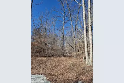 523 Flat Shoals Road, Walhalla, SC 29691 - Photo 8