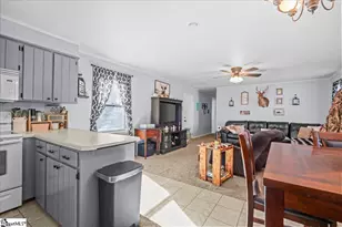 303 Bushy Creek Rd, Woodruff, SC 29388 - Photo 2