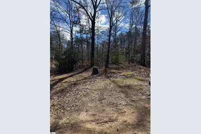 262 Geddy Road, Gray Court, SC 29645 - Photo 26