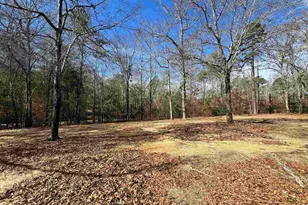 262 Geddy Rd, Gray Court, SC 29645 - Photo 34