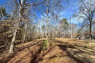 262 Geddy Rd, Gray Court, SC 29645 - Photo 38