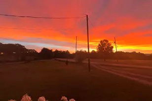 558 Barnett Rd, Greer, SC 29651 - Photo 42