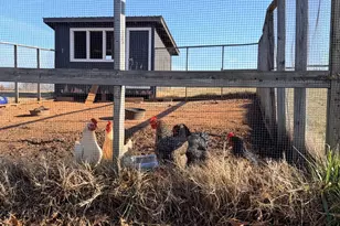 558 Barnett Rd, Greer, SC 29651 - Photo 30