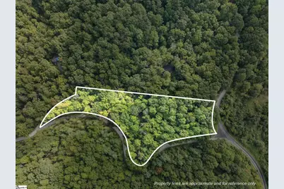 1 Rixhaven Drive, Saluda, NC 28773 - Photo 1