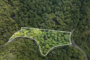 1 Rixhaven Dr, Saluda, NC 28773 - Photo 1