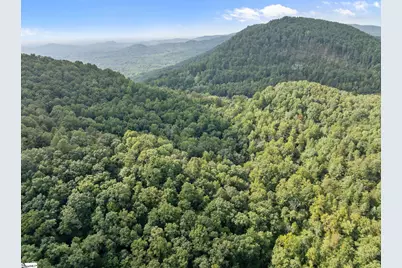 1 Rixhaven Drive, Saluda, NC 28773 - Photo 2