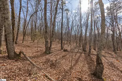 363 Glassy Mountain Church Road, Pickens, SC 29671 - Photo 12