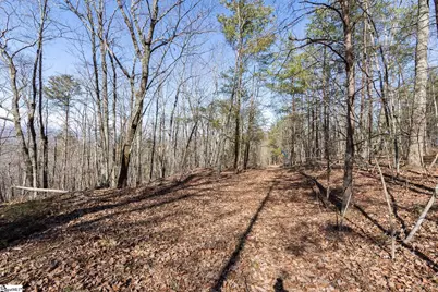 363 Glassy Mountain Church Road, Pickens, SC 29671 - Photo 4