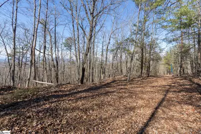 363 Glassy Mountain Church Road, Pickens, SC 29671 - Photo 6