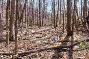 121 Hummingbird Ln, Columbus, NC 28722 - Photo 30