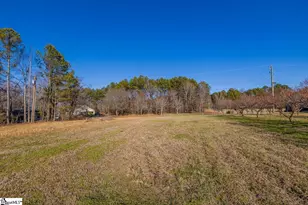 177 Rubin Thorne Rd, Campobello, SC 29322 - Photo 36