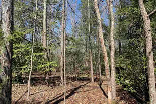 2559 John Dodd Rd, Wellford, SC 29385 - Photo 14