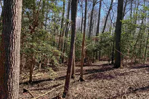 2559 John Dodd Rd, Wellford, SC 29385 - Photo 16