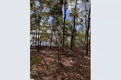 00 Scurry Island Road, Chappells, SC 29037 - Photo 12