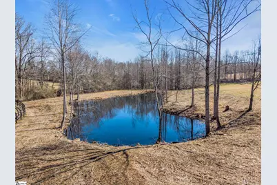 233 Stable Gate Drive, Campobello, SC 29322 - Photo 8