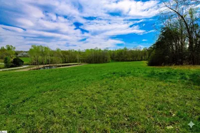 233 Stable Gate Drive, Campobello, SC 29322 - Photo 6