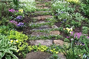 104 Laurel Oak Trail, Simpsonville, SC 29681 - Photo 48