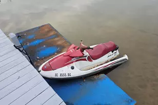 786 Isle Of Pine Circle, Waterloo, SC 29384 - Photo 26