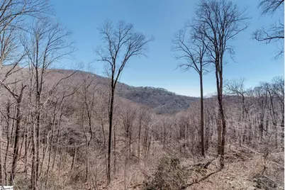 1338 Panther Park Trail, Travelers Rest, SC 29690 - Photo 2