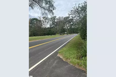 00 Georgia Rd Road, Gray Court, SC 29645 - Photo 8