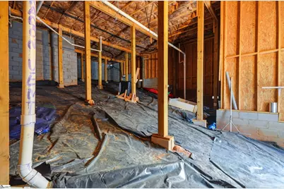 46 Cantrell Drive, Taylors, SC 29687 - Photo 28