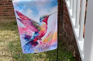 701 Ikes Rd, Taylors, SC 29687 - Photo 24