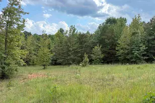 1457 Country Estates Rd, Inman, SC 29349 - Photo 14