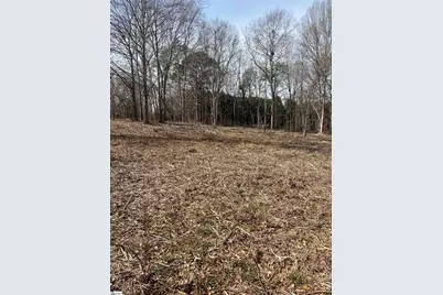 00 Lake Vista Drive, Lyman, SC 29365 - Photo 2