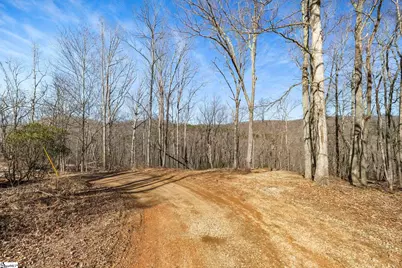 314 Mountain Lake Lane, Travelers Rest, SC 29690 - Photo 4