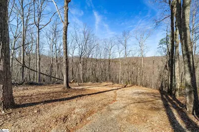 314 Mountain Lake Lane, Travelers Rest, SC 29690 - Photo 6