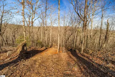 314 Mountain Lake Lane, Travelers Rest, SC 29690 - Photo 12