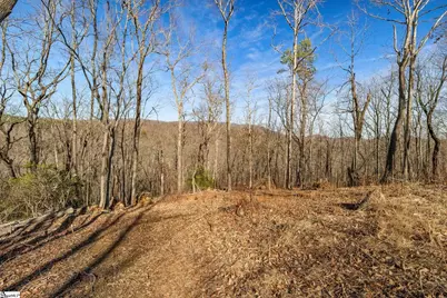 314 Mountain Lake Lane, Travelers Rest, SC 29690 - Photo 10
