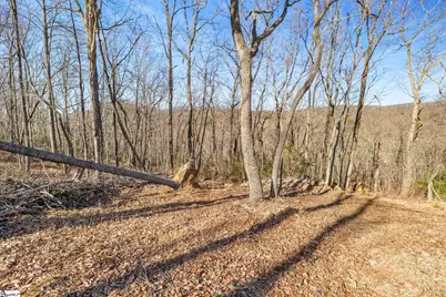 314 Mountain Lake Lane, Travelers Rest, SC 29690 - Photo 16