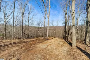 314 Mountain Lake Ln, Travelers Rest, SC 29690 - Photo 1