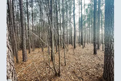 00 Lakeside Drive, Union, SC 29379 - Photo 2