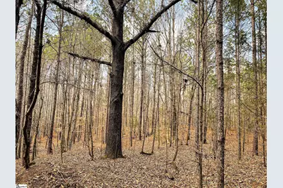 00 Lakeside Drive, Union, SC 29379 - Photo 10