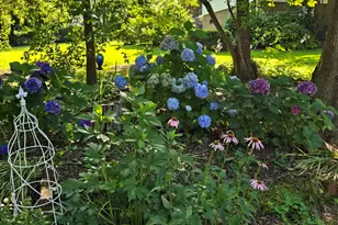 332 St James Dr, Spartanburg, SC 29301 - Photo 36